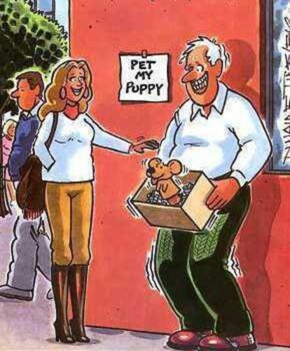 Pet it >=)
