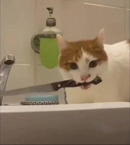 Ei mitään henkilökohtaista :3