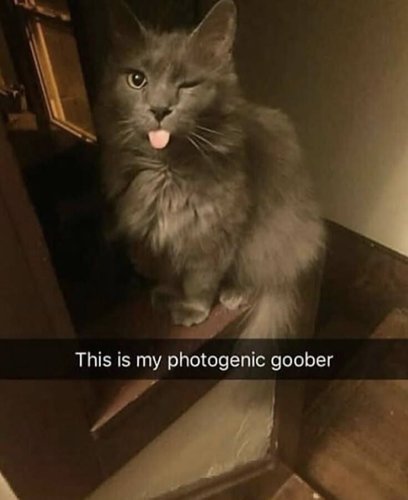 ag-.plöö