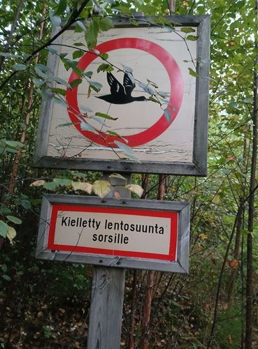 kielto