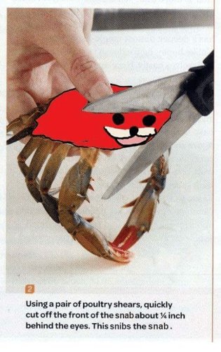 snibsnap poikki