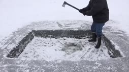 talla kollaasi