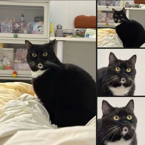 :O :O