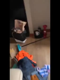 heimosenkeimon kanssa tacolle
