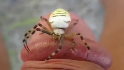 hämä hämä häkki