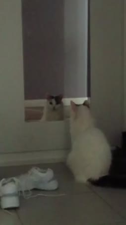 hätävilkut päällä