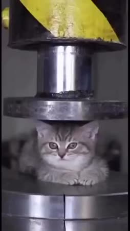 Hydraulic press kissa