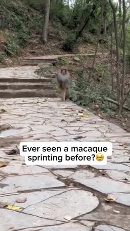 Alko menee kohta kiinni