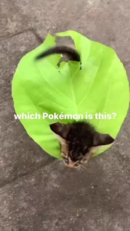 mikä pokemon
