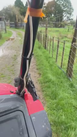 rapunaaman ranchilla