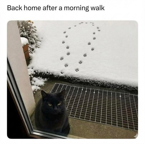 tämä riittää kiitos