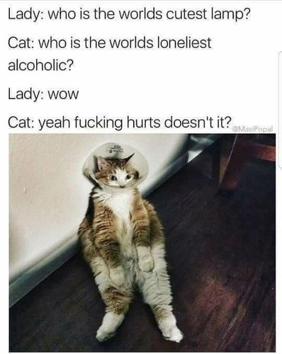 OI KU LUTUNE LAMP :3