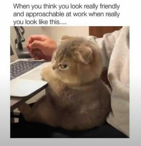 helposti lähestyttävä