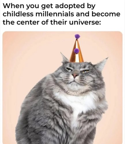 evoluution päätepiste