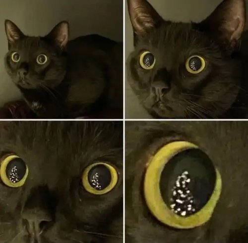 jouluupuuu on kaadettu