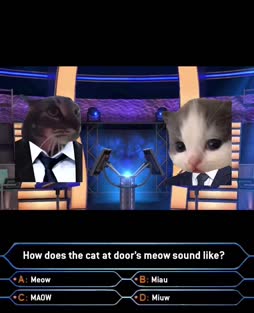 haluatko meownääriksi