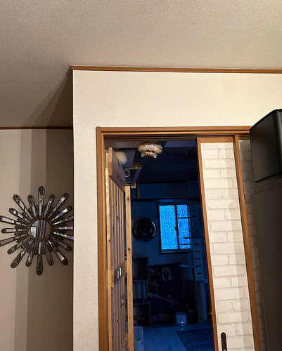 minä vartioin täällä