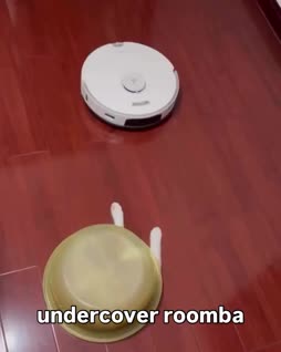 taistelu imuria vastaan