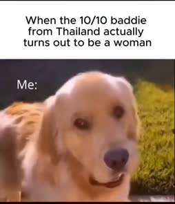 ei ollutkaan feminiinistä penistä