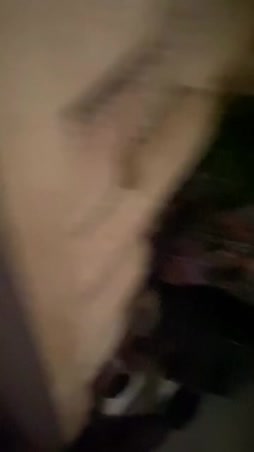 rankempi viikonloppu