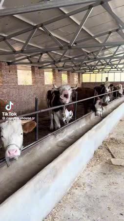 Kun baarissa näet hyvän perseen