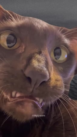 Aamu alkaa ahdistuksella