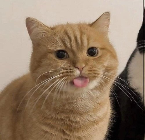 mlem