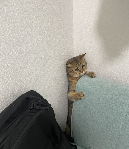 oon täälä piilossa