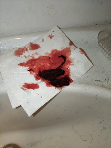 Tiedosto saattaa olla epäsovelias