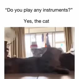 instrumentti