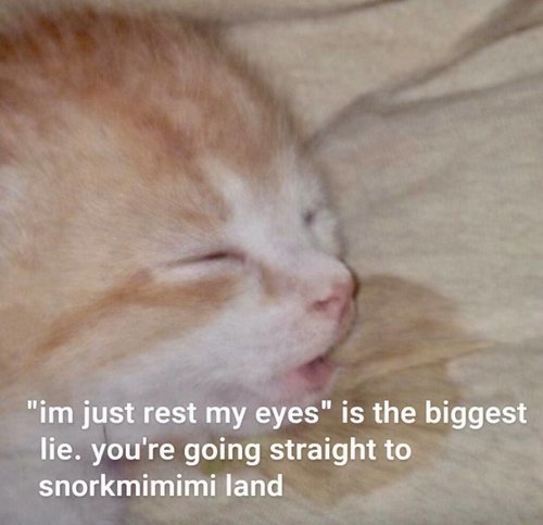 hetken lepään tässä