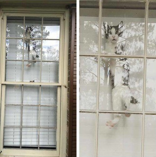 minä vartioin tääll