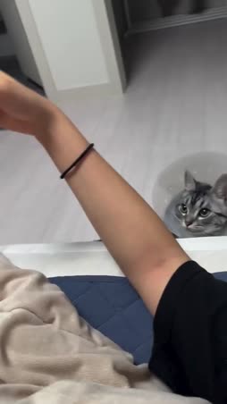 BURASEN SINUA BENDELE >:3